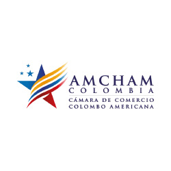 amcham1